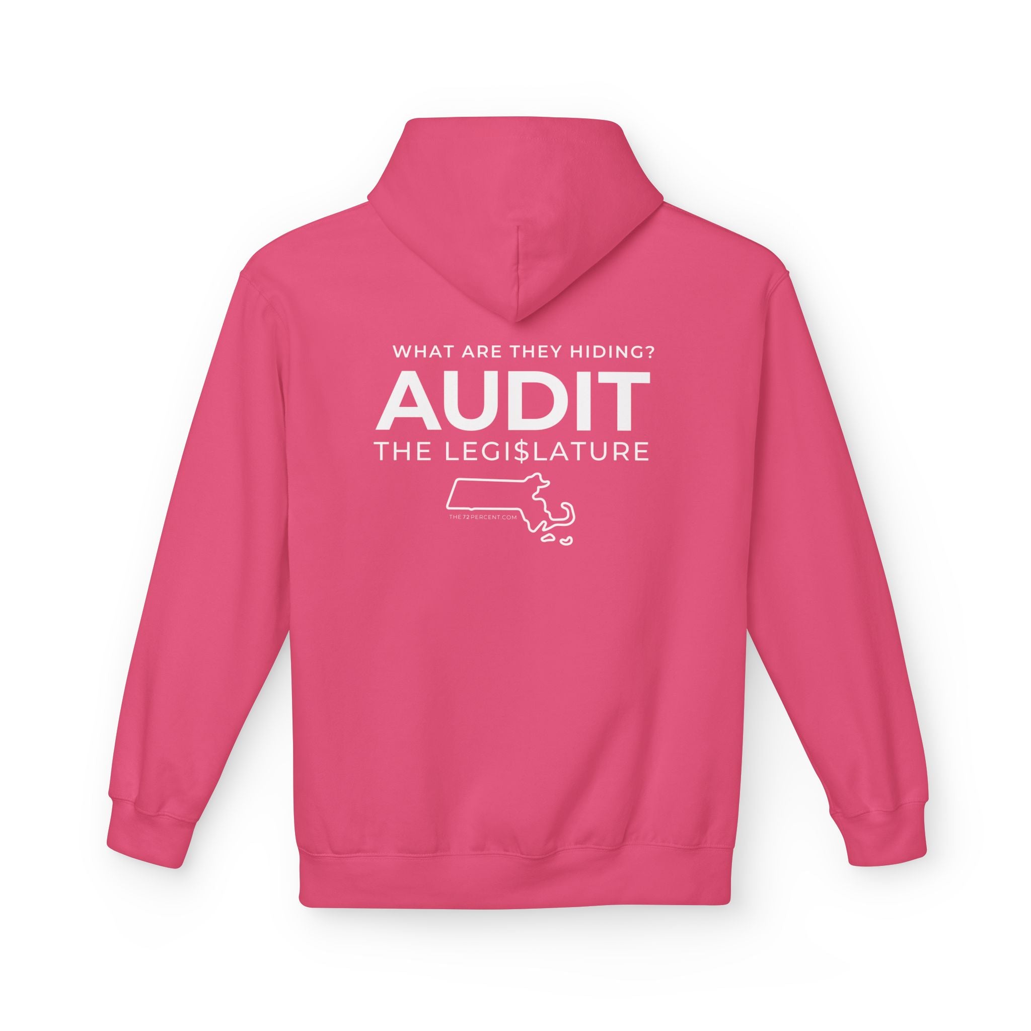 Where's Our Audit?! Unisex Hoodie